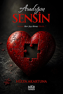 Aradığım Sensin - 1