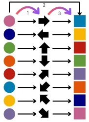 Bileşke Fonksiyon Oyunu - 1