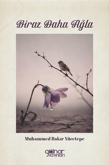 Biraz Daha Ağla - 1