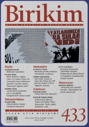 Birikim Sayı 433 Mayıs 2025 - İletişim Yayınları