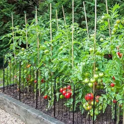 DEKORATİF BAHÇE ÇİTİ 10'LU SET 330CM MODEL - 1 SİYAH HOBİ BAHÇESİ, ÇİÇEK, SEBZE, MİNİ BAHÇE - 3