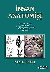 İnsan Anatomisi / Yıldırım ( 12. Baskı ) - Nobel Tıp Kitabevleri