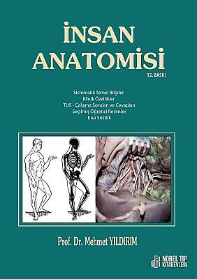 İnsan Anatomisi / Yıldırım ( 12. Baskı ) - 1