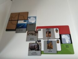 Kıta Eşleştirme Oyunu - 