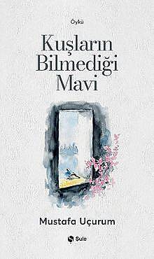 Kuşların Bilmediği Mavi - 1
