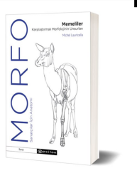 Morfo - Memeliler Karşılaştırmalı Morfolojinin Un - Epsilon Yayınevi 