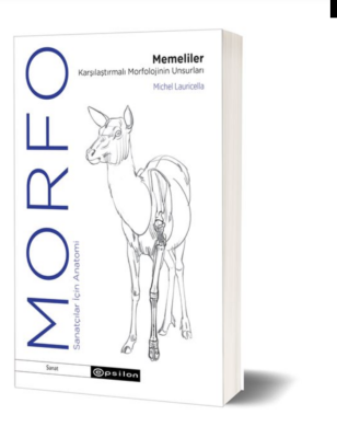 Morfo - Memeliler Karşılaştırmalı Morfolojinin Un - 1