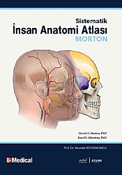 Morton İnsan Anatomi Atlası - Nobel Tıp Kitabevleri