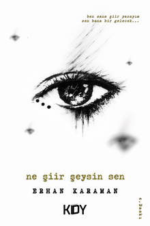 Ne Şiir Şeysin Sen - 1