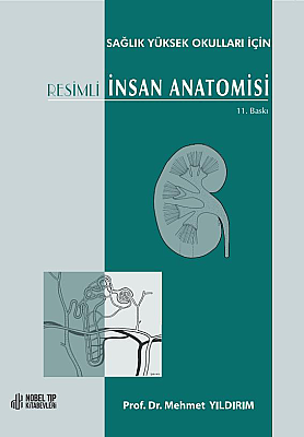 Sağlık Yüksek Okulları için Resimli İnsan Anatomisi 11. Baskı - 1