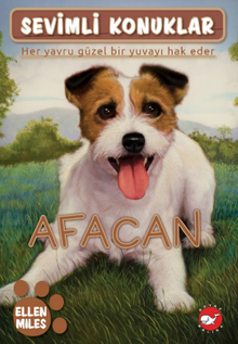 Sevimli Konuklar 4 / Afacan - 1