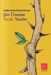 Şiir Üzerine Sıcak Yazılar - Kaos Çocuk Parkı