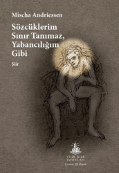 Sözcüklerim Sınır Tanımaz Yabancılığım Gibi - Yitik Ülke Yayınları