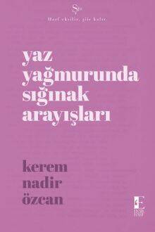 Yaz Yağmurunda Sığınak Arayışları - 1